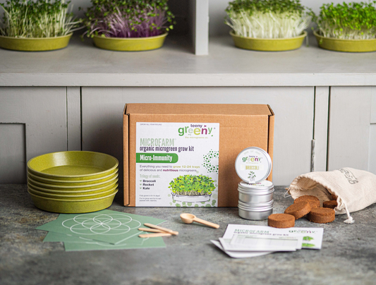 Grow Kale, Broccoli, and Rocket Microgreens at Home with Organic Microfarm grow Kit