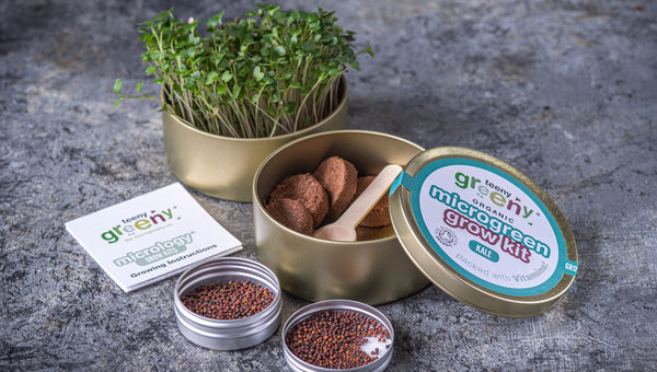 Kale Microgreens