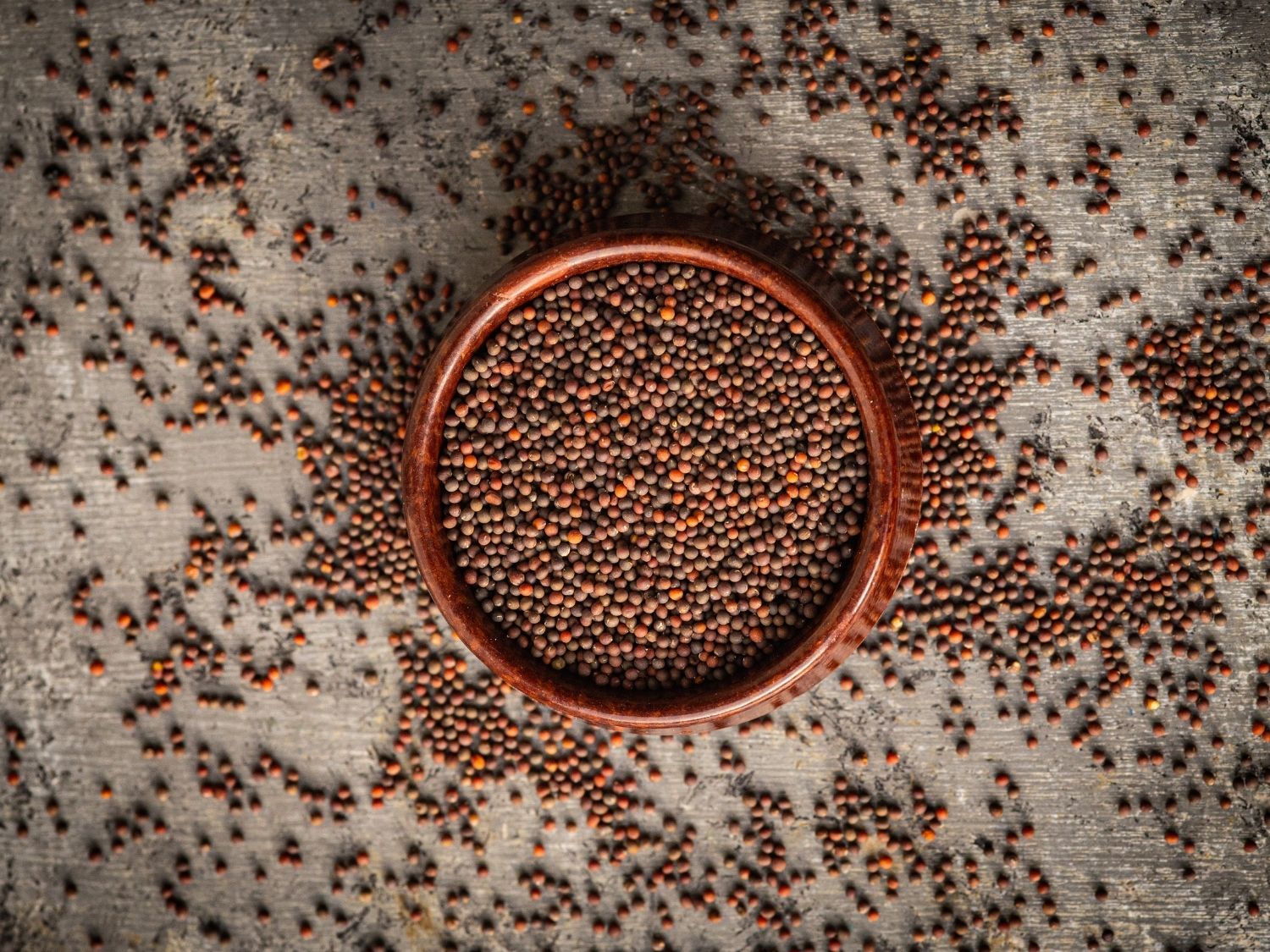 Organic black kale microgreen seeds by Teeny Greeny UK