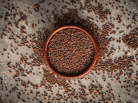 Organic black kale microgreen seeds by Teeny Greeny UK