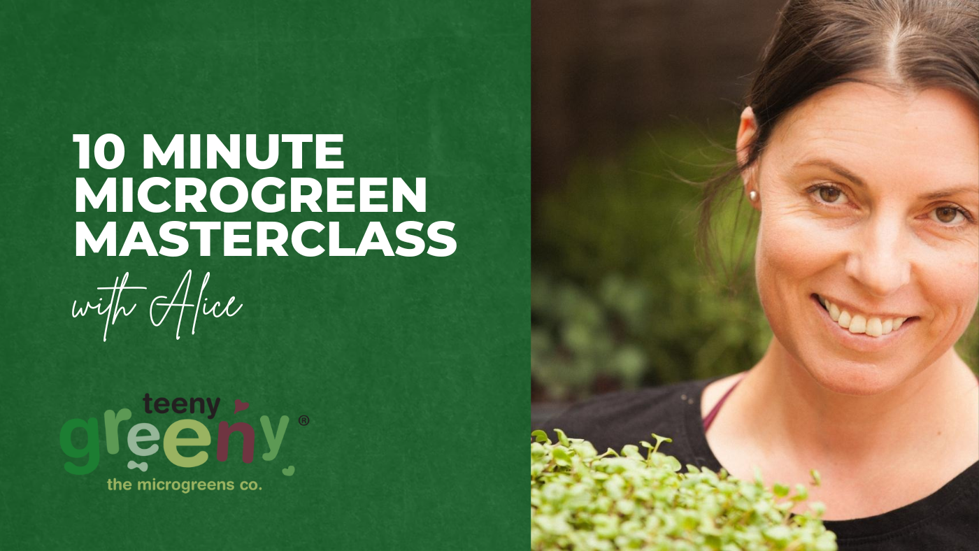 Load video: Hey, I'm Alice, welcome to the 10 minute masterclass!