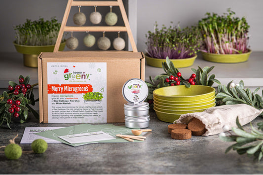 Merry Microgreens Organic Grow Kit (Christmas Special)