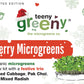 Merry Microgreens Organic Grow Kit (Christmas Special)