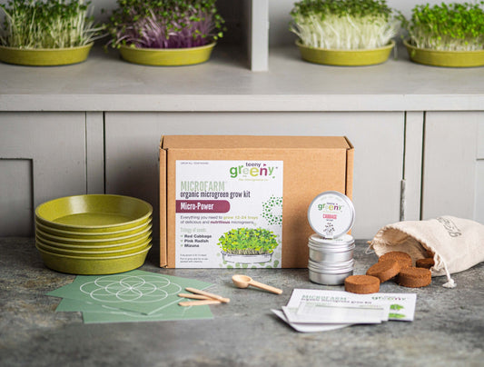 The Ultimate Gift for Foodies and Eco Enthusiasts