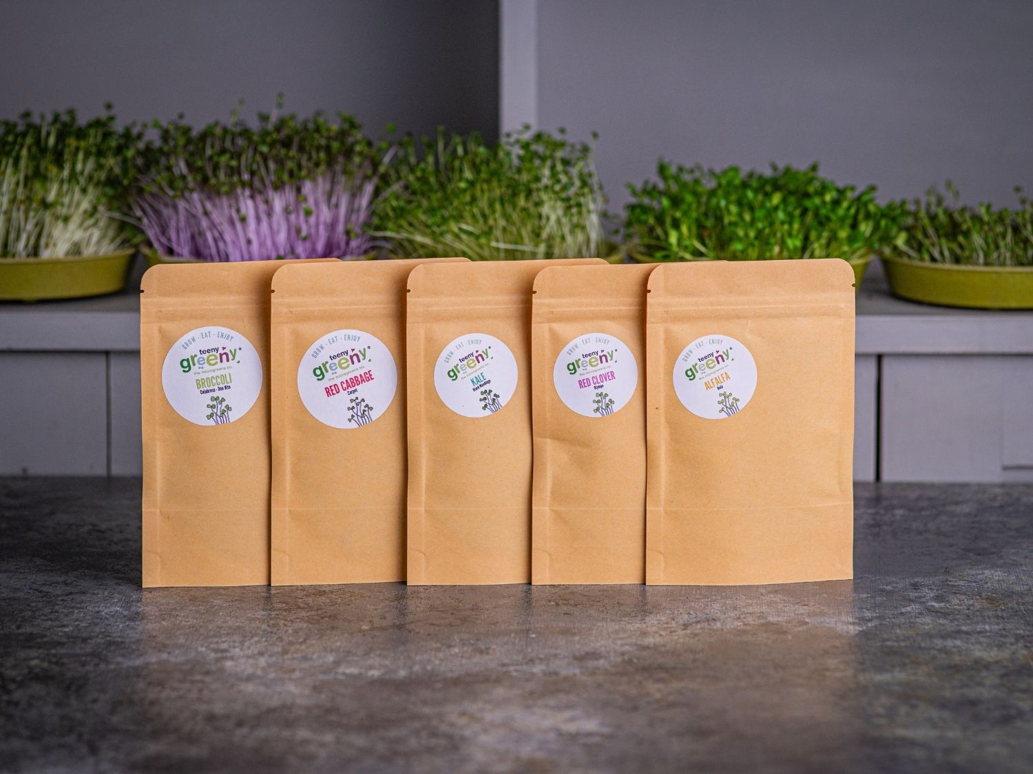 Organic microgreen seed set – Mild and Mellow by Teeny Greeny