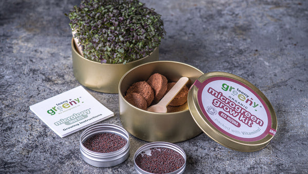 Mizuna Microgreens