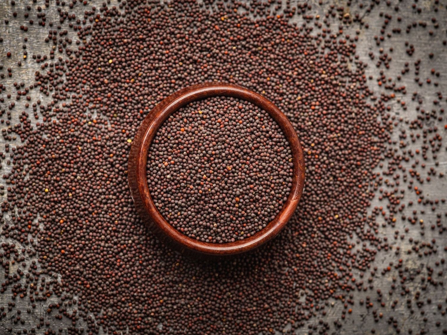 Organic red mizuna microgreen seeds by Teeny Greeny UK