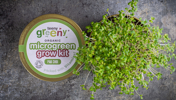 Pak Choi Microgreen Grow Kit