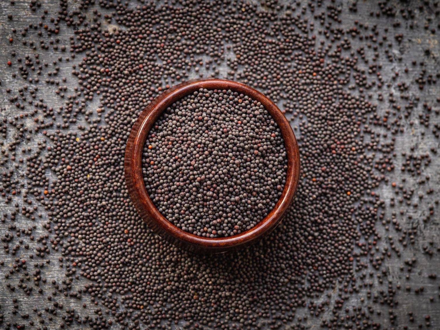 Organic pak choi microgreen seeds by Teeny Greeny UK