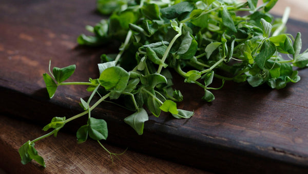 Organic Pea Seeds for Microgreens and shoots