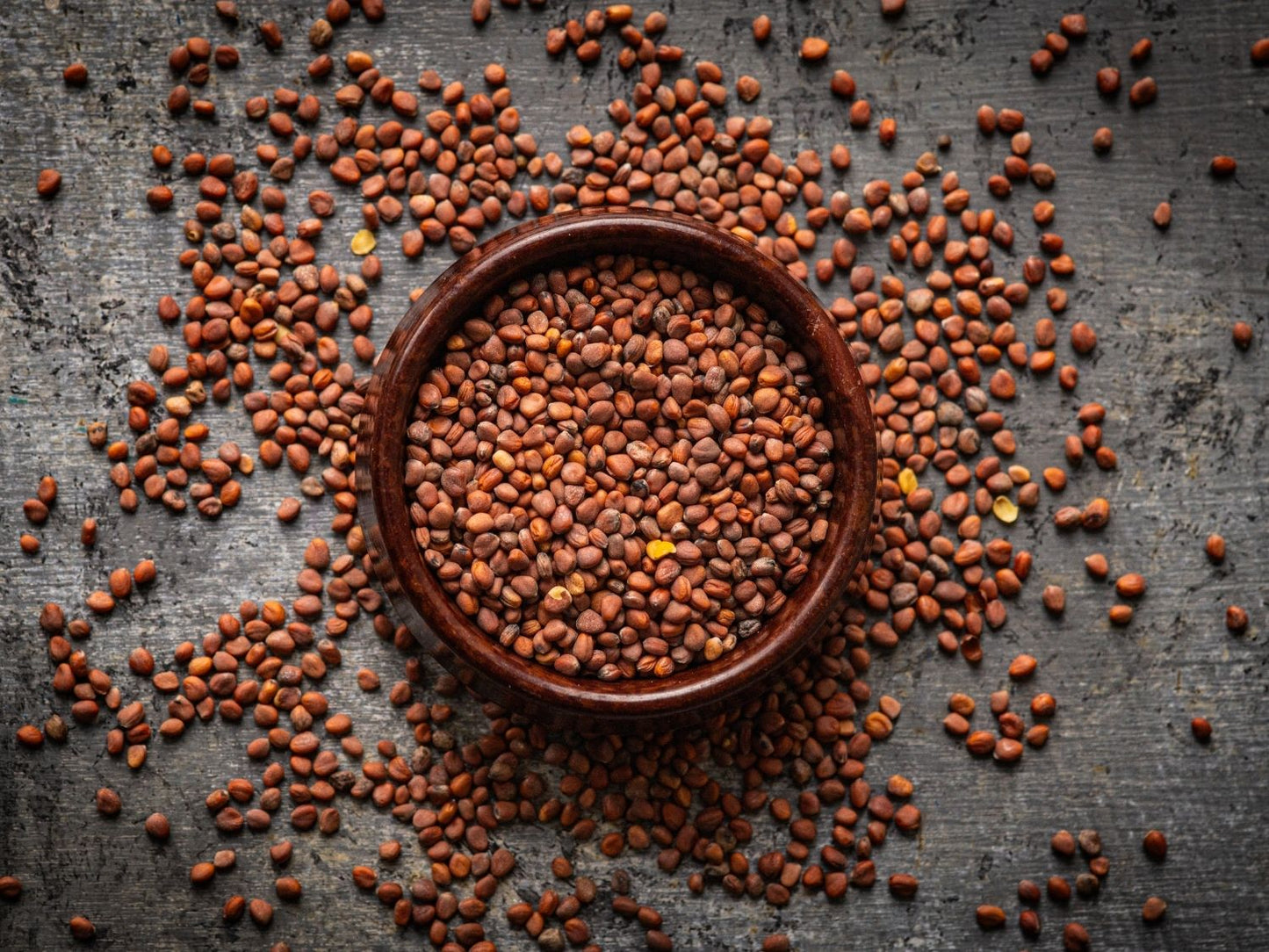 Organic pink radish microgreen seeds by Teeny Greeny UK