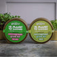 Planet Dartford Organic Microgreen Kit