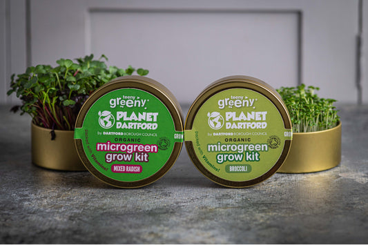 Planet Dartford Organic Microgreen Kit