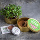 Planet Dartford Organic Microgreen Kit