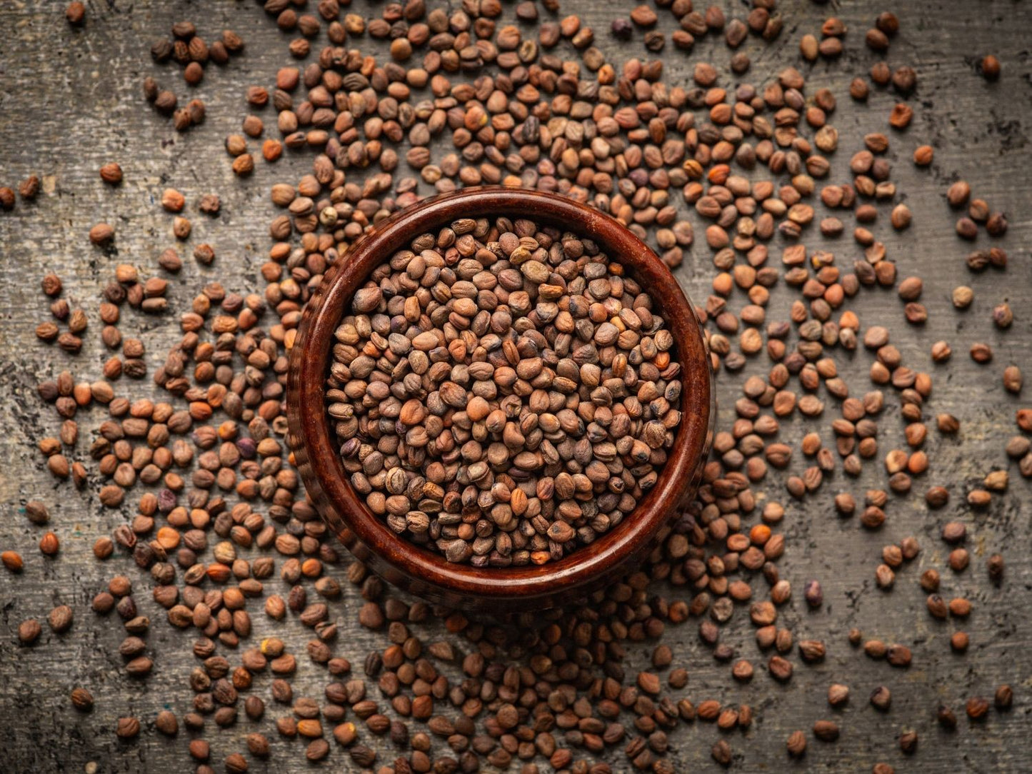 Organic purple radish microgreen seeds by Teeny Greeny UK