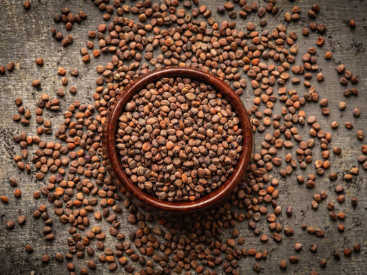 Organic purple radish microgreen seeds by Teeny Greeny UK