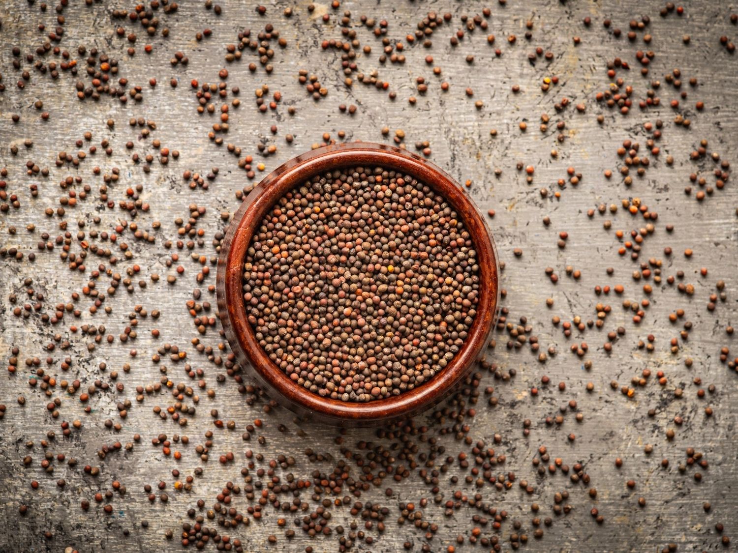 Organic red cabbage microgreen seeds by Teeny Greeny UK