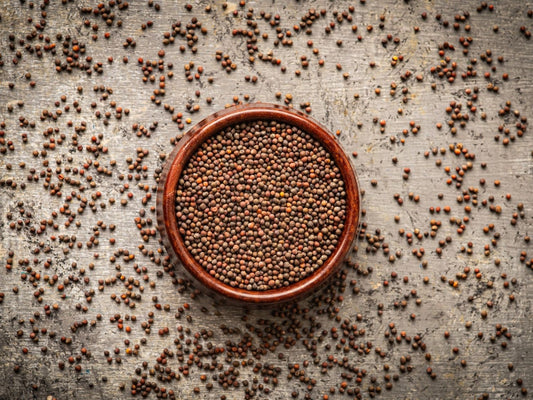 Organic red cabbage microgreen seeds by Teeny Greeny UK