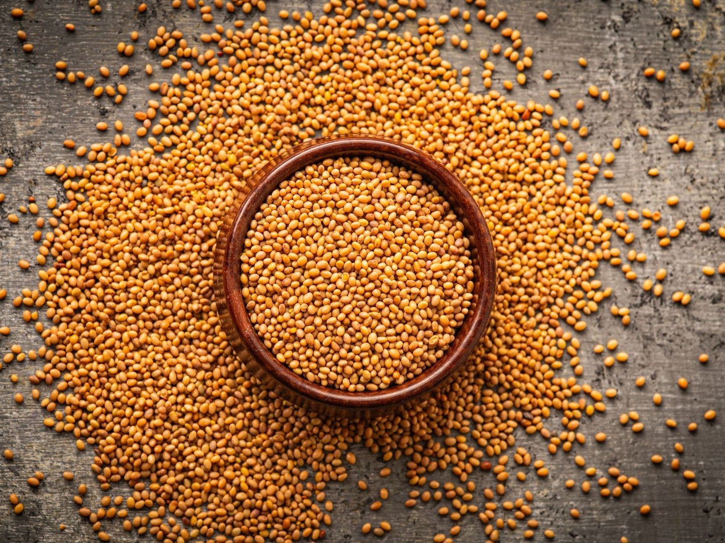 Organic red clover microgreen seeds by Teeny Greeny UK