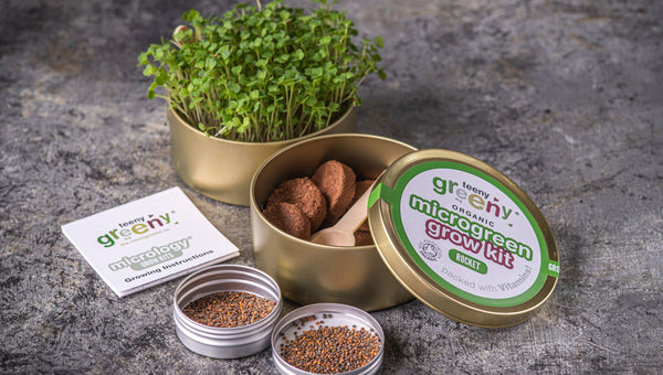 Rocket Microgreens