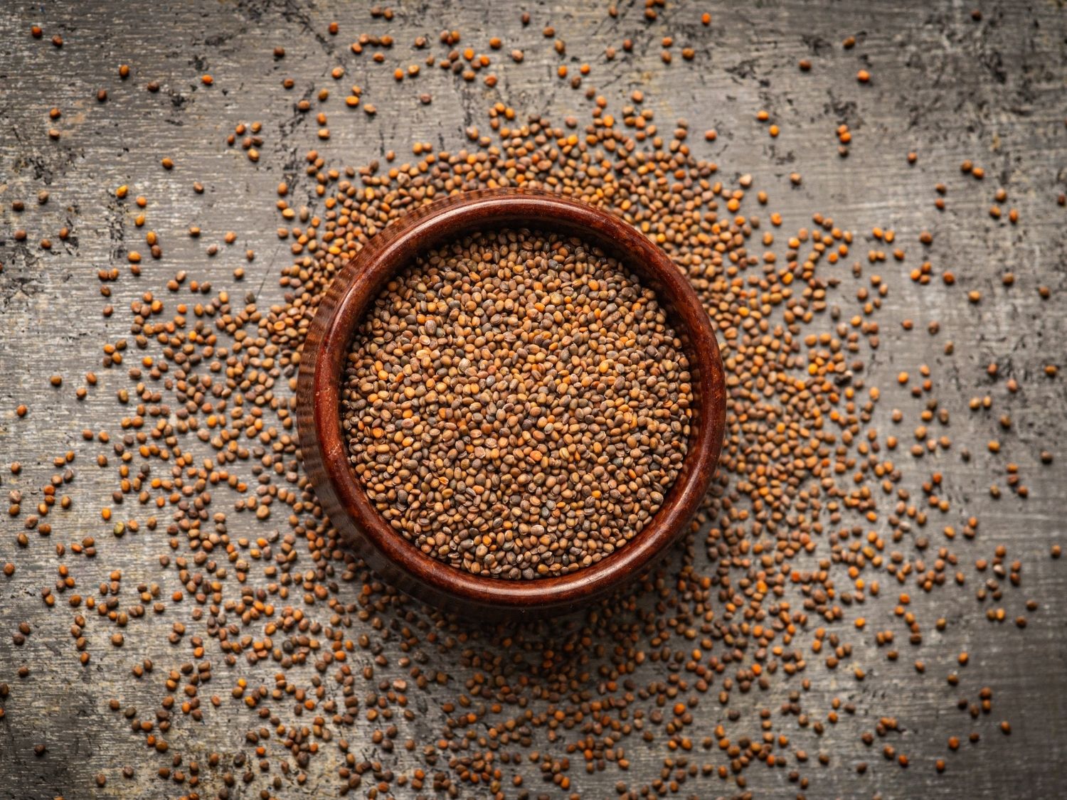 Organic rocket microgreen seeds by Teeny Greeny UK