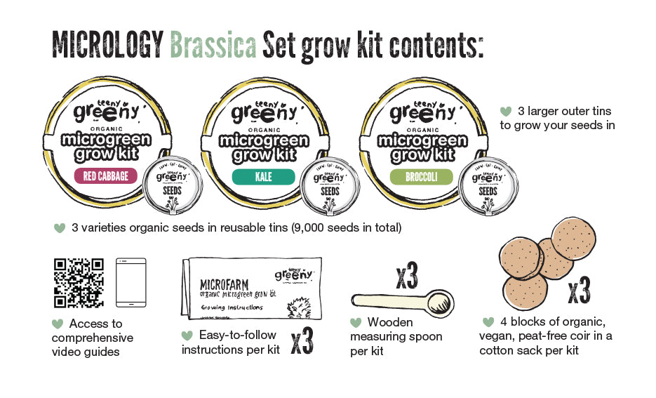 Teeny Greeny Organic Micrology Tin Kit Includes