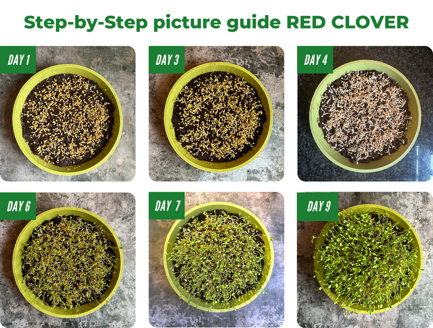 Microfarm Grow Kit | HARMONY