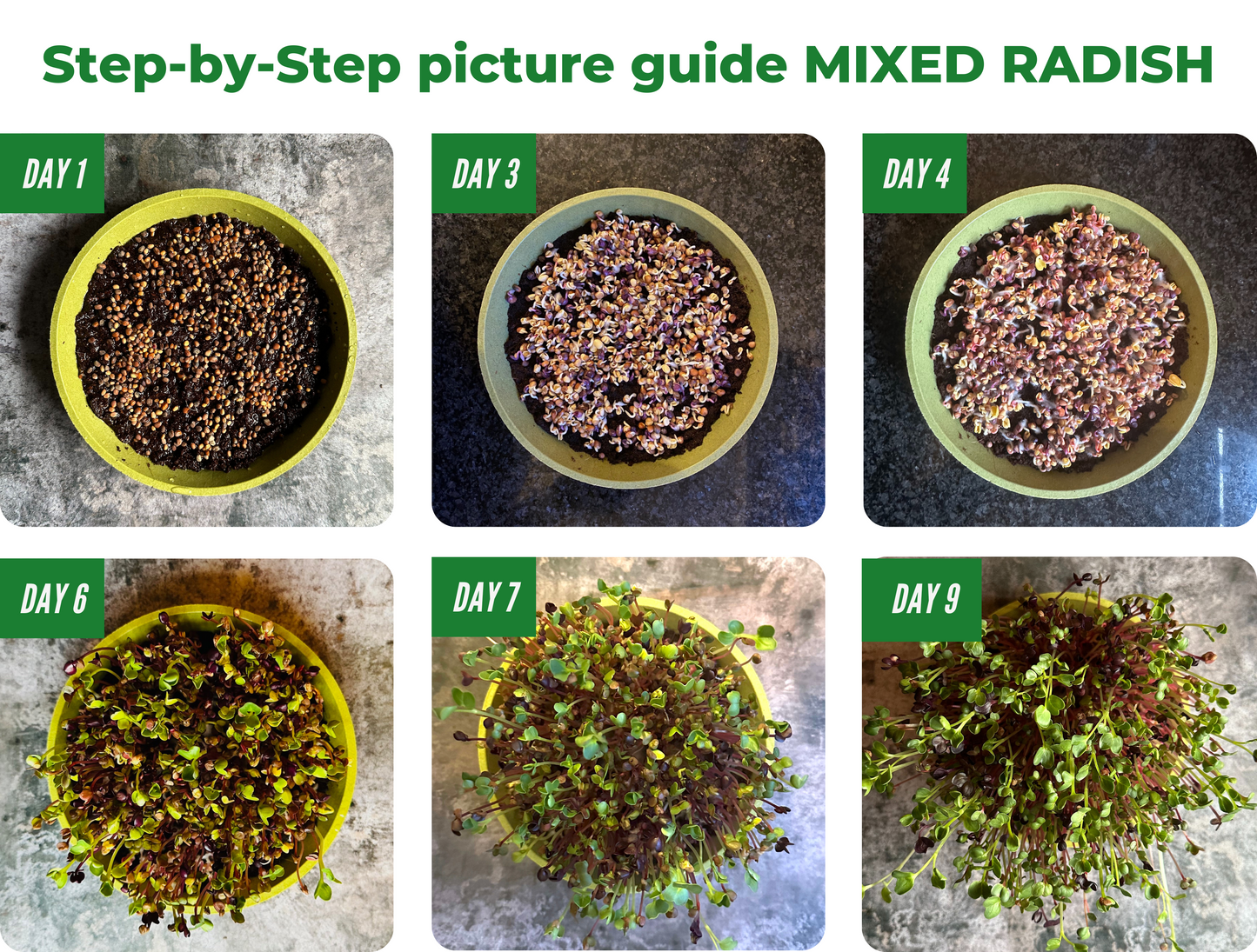 Microfarm Grow Kit | HARMONY