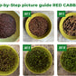 Step-by-step Growing Red Cabbage Microgreens