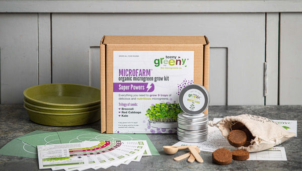 Educational Microgreen Growing Kit with Step-by-Step Instructions, Ideal for Learning and Growing Microgreens
