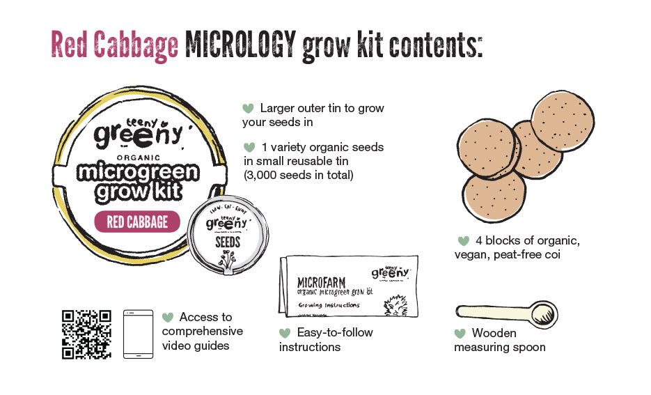 Teeny Greeny Organic Micrology Tin Kit Includes