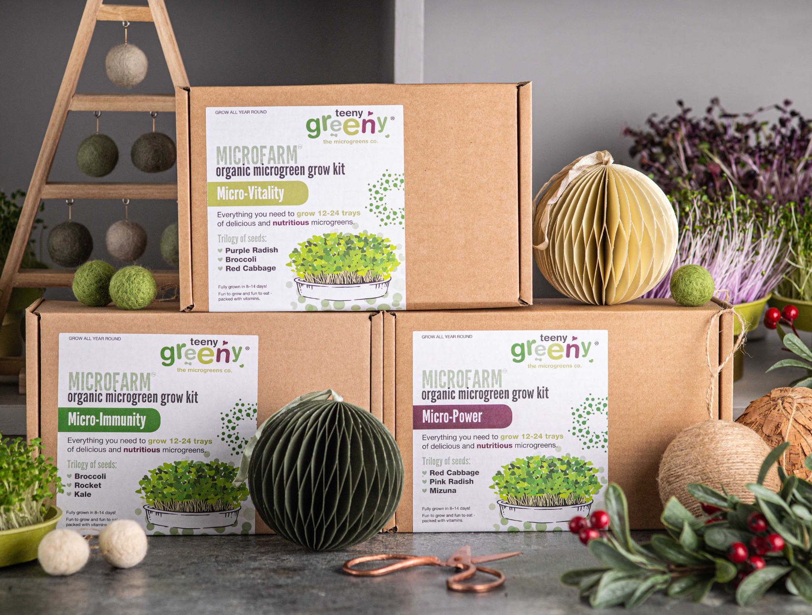 Microgreen Grow Kits for gifting