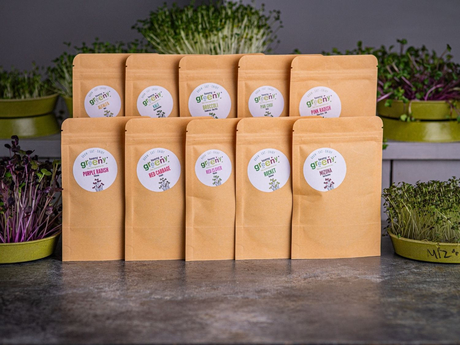Ultimate 10 organic microgreen seed collection by teeny greeny