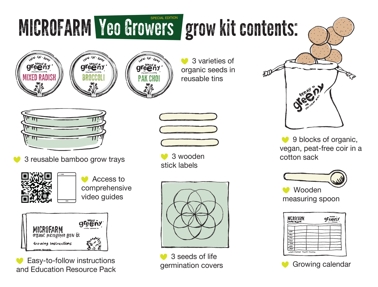 Kids Grow Kit | YEO GROWERS