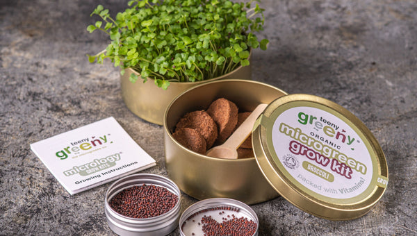 Broccoli Microgreens