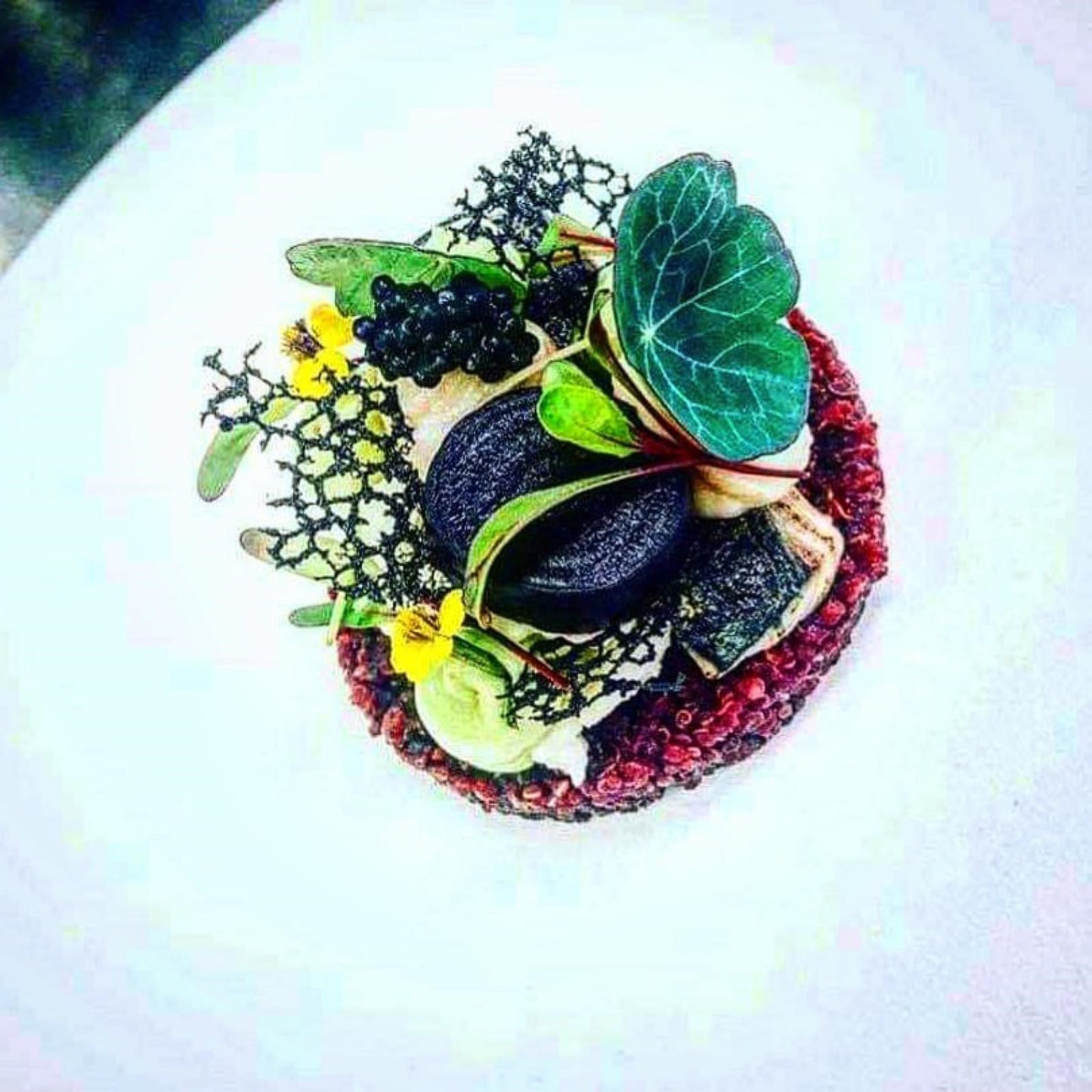 Nasturtium Empress Of India Seeds (50g)