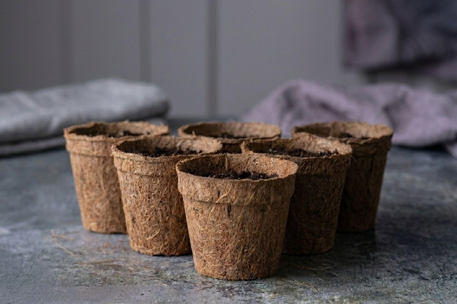 Teeny Greeny coir pots empty group of six on dark slate background showing natural coconut fibre texture
