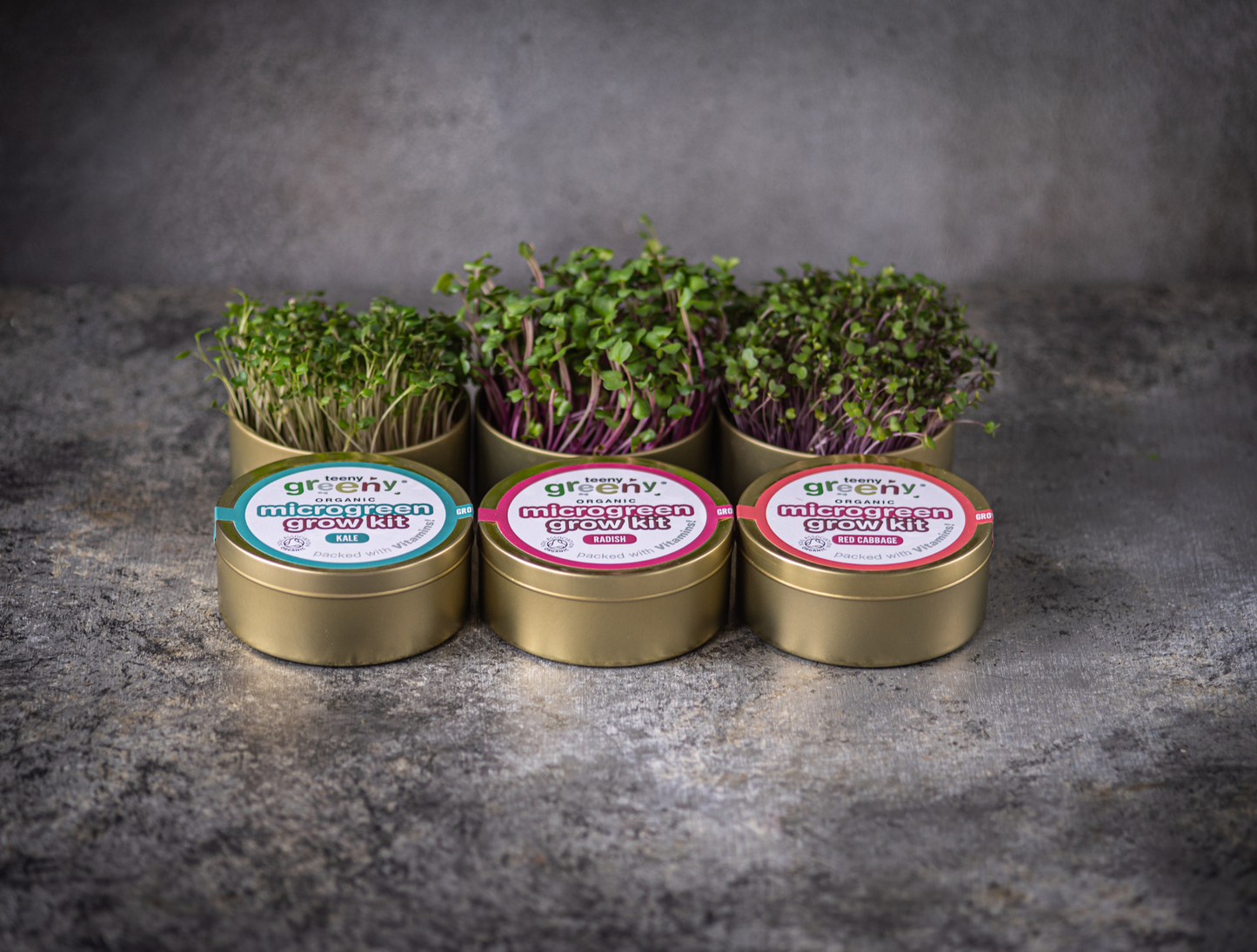 Tin Grow Kit Set | ENERGISE