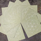FSC certified cardboard germination cover for microgreens by Teeny Greeny