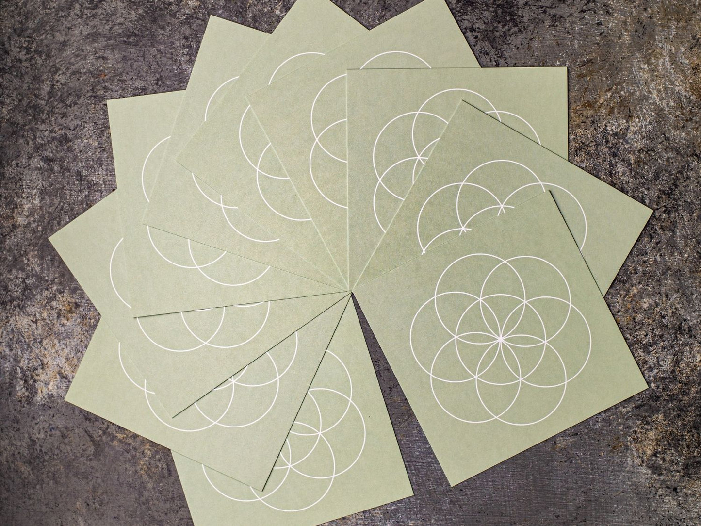 FSC certified cardboard germination cover for microgreens by Teeny Greeny