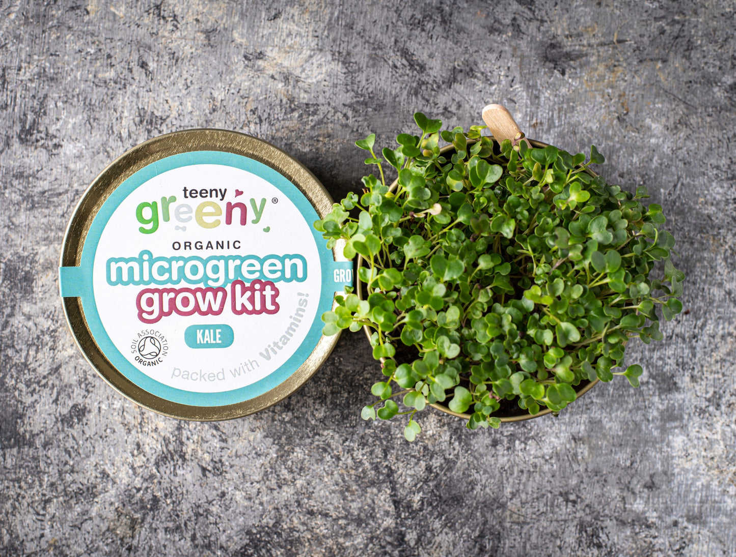 Grow Microgreens for energy