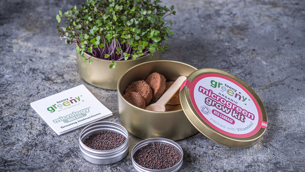 Red Cabbage Microgreens