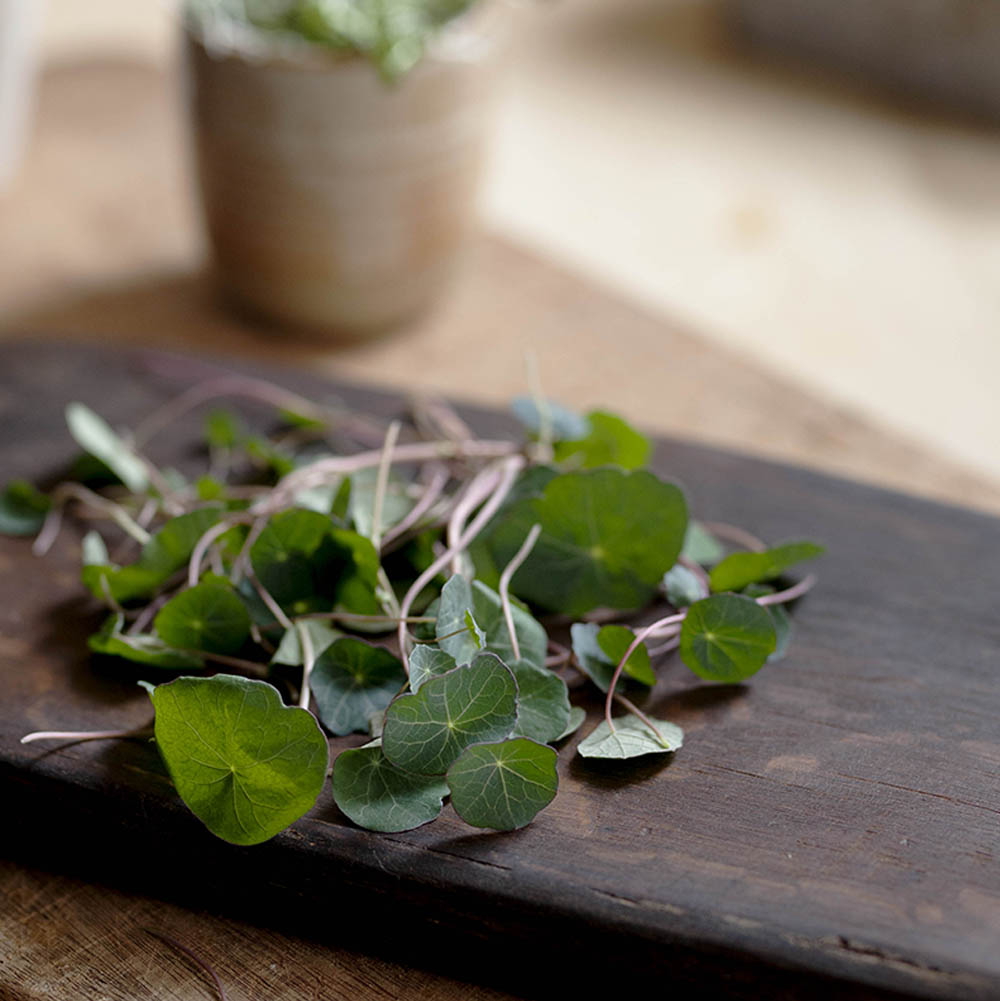 Nasturtium Empress Of India Seeds (50g)