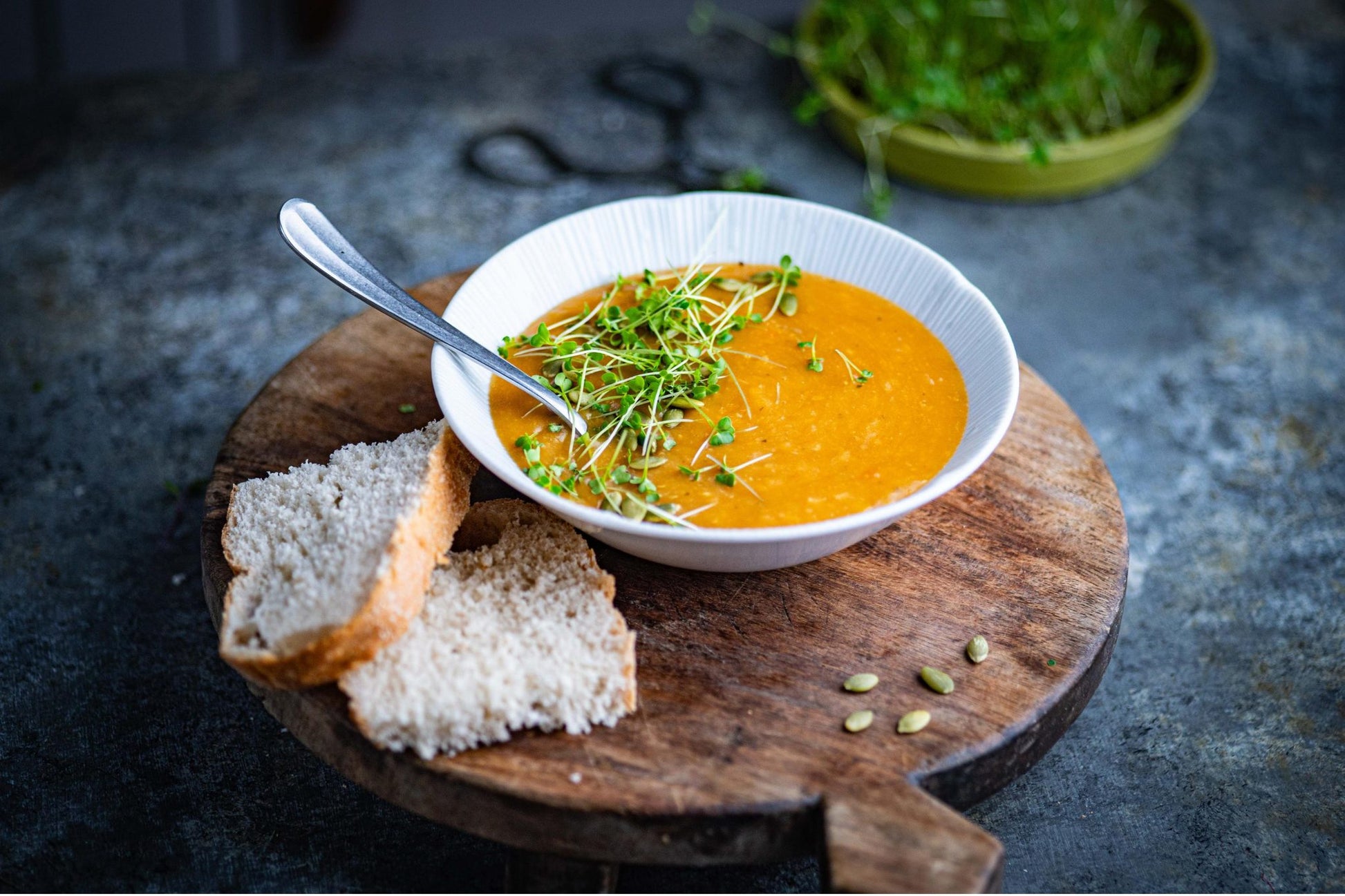 Teeny Greeny alfalfa microgreens as fresh garnish on homemade soup with crusty bread