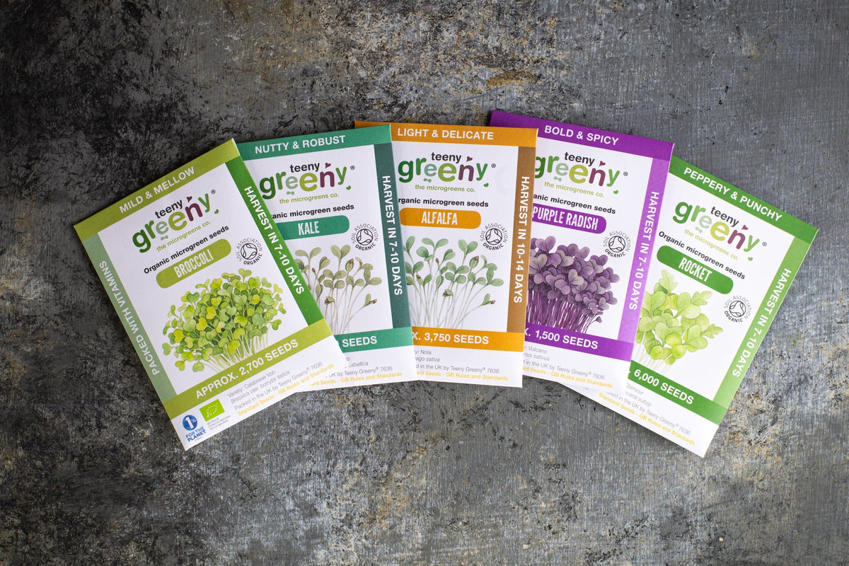 This Season’s Organic Microgreens | 5 Seed Set | Autumn Edition