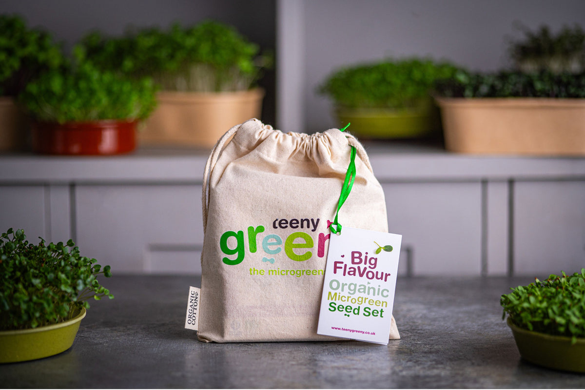 Big Flavour Organic Microgreens | 5 Seed Set | Gift Edition