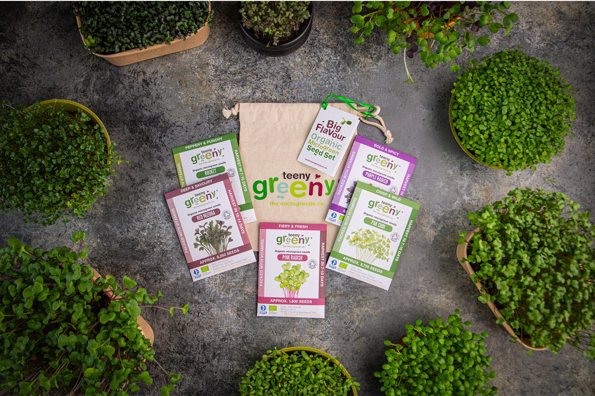 Big Flavour Organic Microgreens | 5 Seed Set | Gift Edition