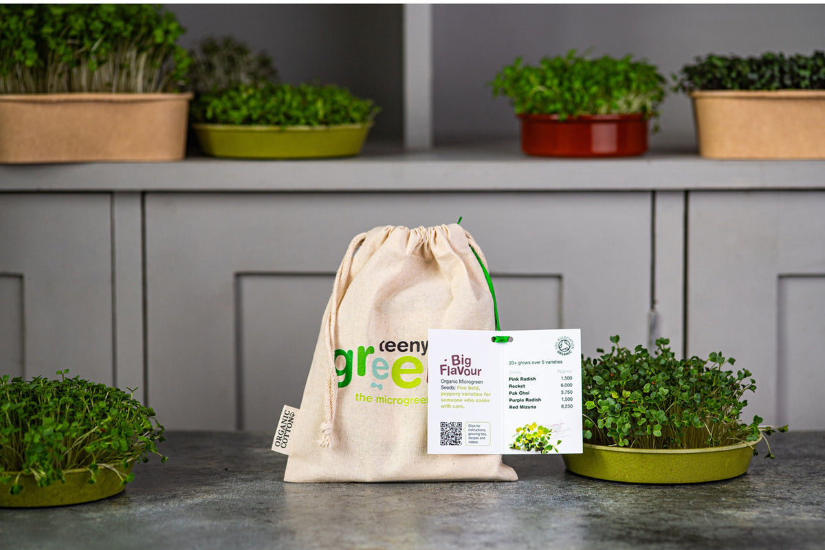 Big Flavour Organic Microgreens | 5 Seed Set | Gift Edition