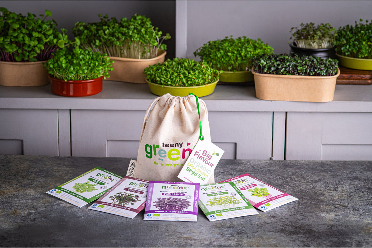 Big Flavour Organic Microgreens | 5 Seed Set | Gift Edition