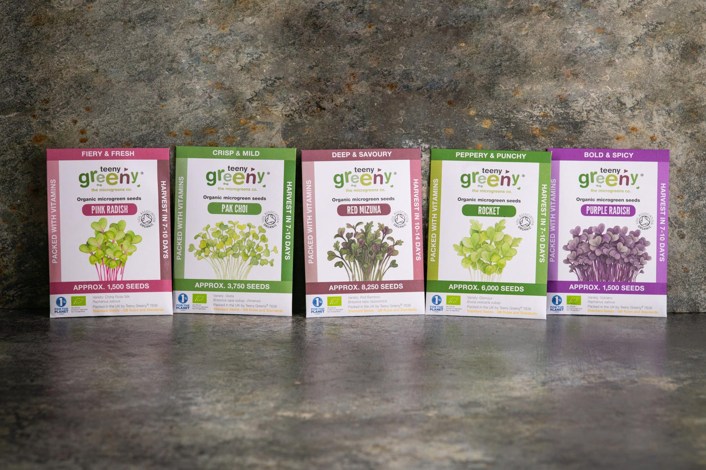 Teeny Greeny big flavour set of five organic microgreen seed packets standing upright on slate background
